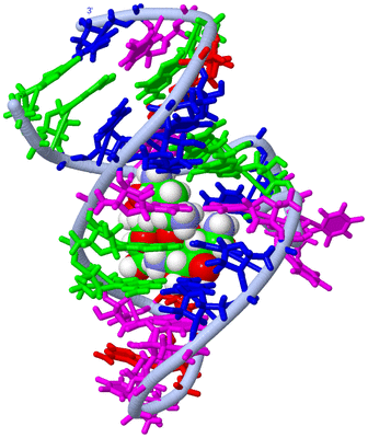 Image NMR Structure - model 1