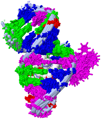 Image NMR Structure - all models