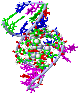 Image NMR Structure - model 1, sites