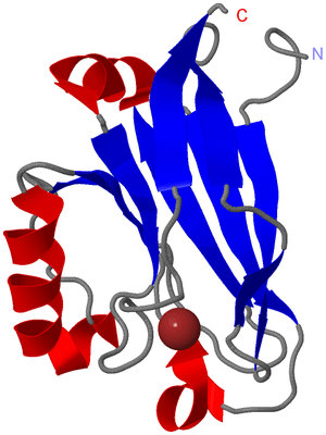 Image NMR Structure - model 1