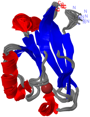 Image NMR Structure - all models