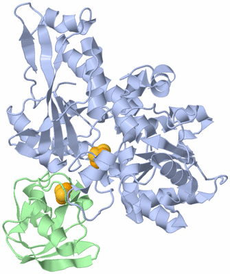 Image NMR Structure - model 1