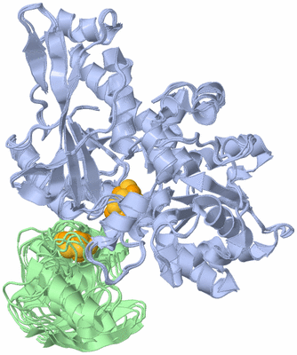 Image NMR Structure - all models