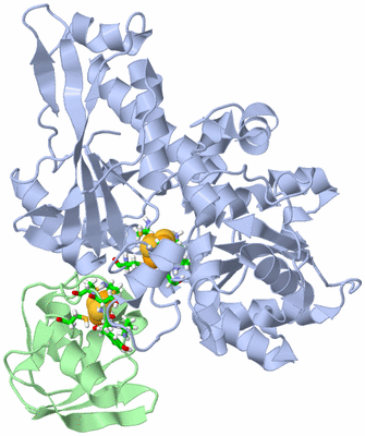 Image NMR Structure - model 1, sites