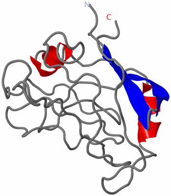 Image NMR Structure - model 1