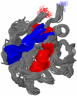 Image NMR Structure - all models