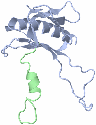 Image NMR Structure - model 1