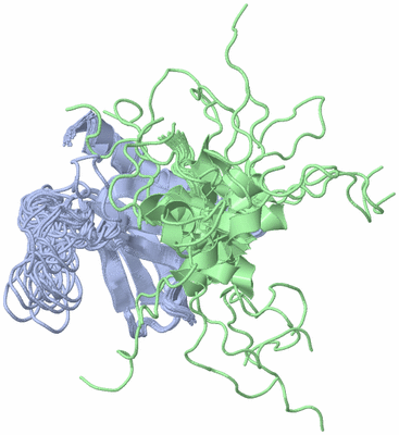 Image NMR Structure - all models