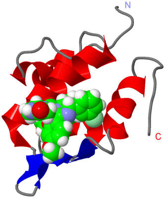 Image NMR Structure - model 1