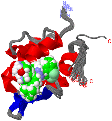 Image NMR Structure - all models