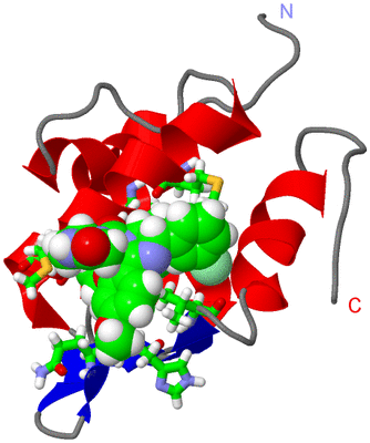 Image NMR Structure - model 1, sites