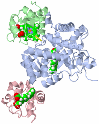 Image NMR Structure - model 1