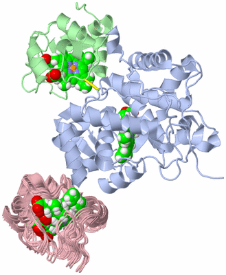 Image NMR Structure - all models