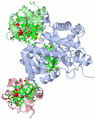 Image NMR Structure - model 1, sites