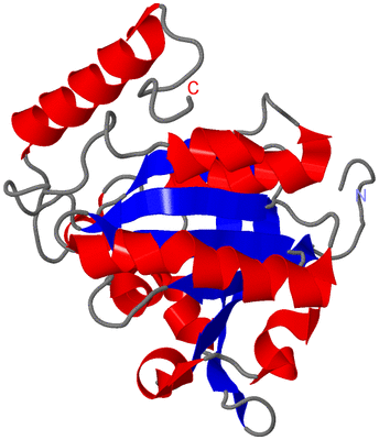 Image NMR Structure - model 1