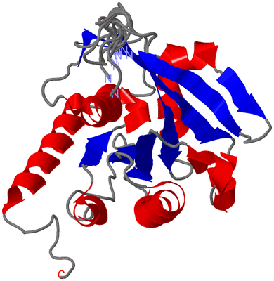 Image NMR Structure - all models