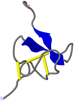 Image NMR Structure - model 1