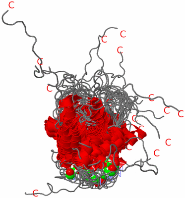 Image NMR Structure - all models