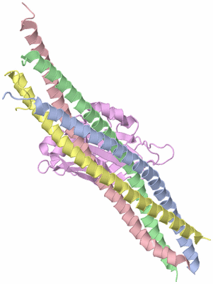 Image NMR Structure - model 1