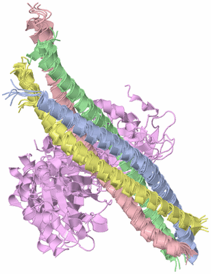 Image NMR Structure - all models