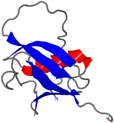 Image NMR Structure - model 1