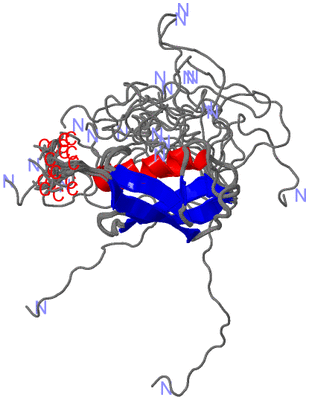 Image NMR Structure - all models