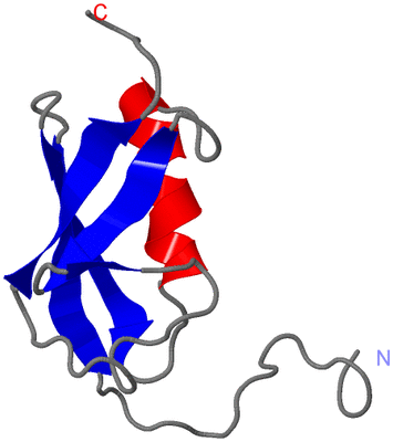 Image NMR Structure - model 1