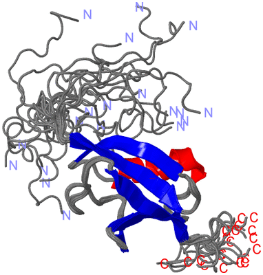 Image NMR Structure - all models