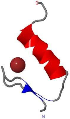 Image NMR Structure - model 1