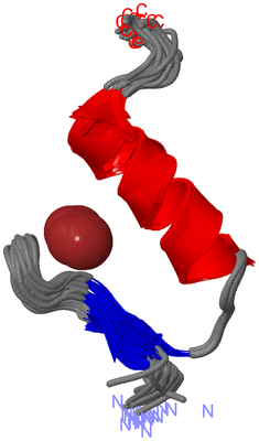 Image NMR Structure - all models