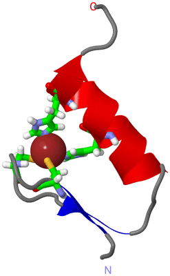 Image NMR Structure - model 1, sites