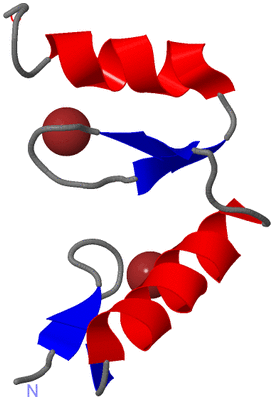 Image NMR Structure - model 1