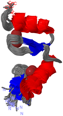 Image NMR Structure - all models