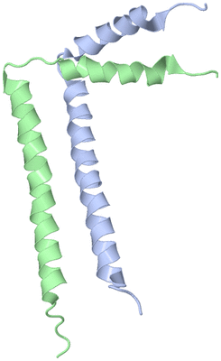 Image NMR Structure - model 1