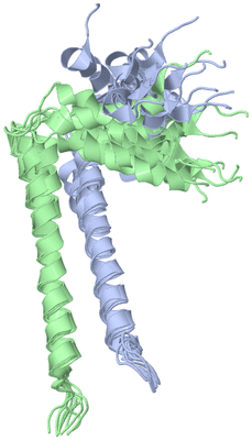 Image NMR Structure - all models