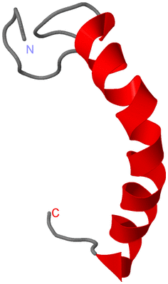 Image NMR Structure - model 1