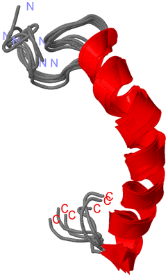 Image NMR Structure - all models