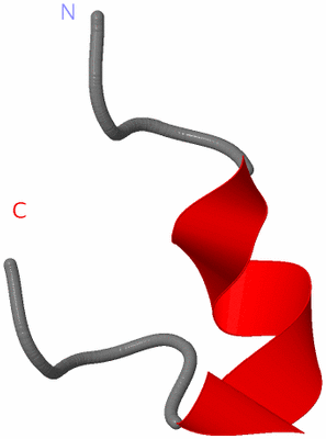Image NMR Structure - model 1