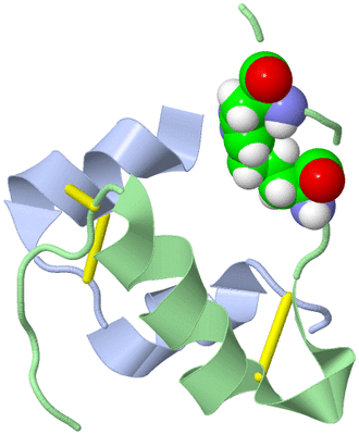 Image NMR Structure - model 1