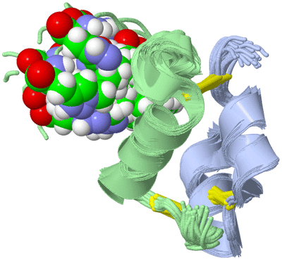 Image NMR Structure - all models