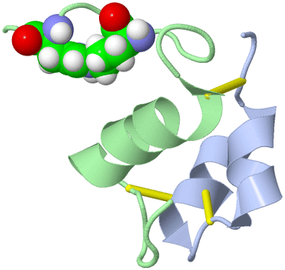 Image NMR Structure - model 1