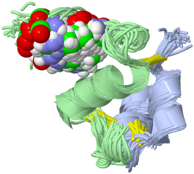 Image NMR Structure - all models