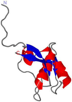 Image NMR Structure - model 1