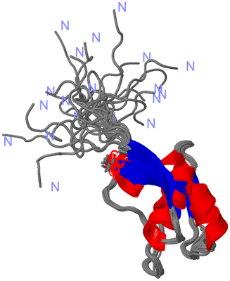 Image NMR Structure - all models