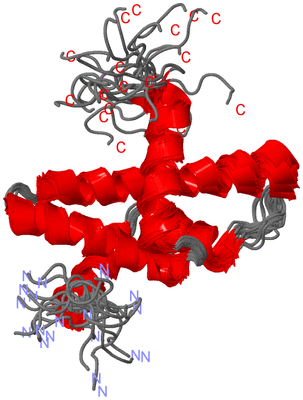 Image NMR Structure - all models