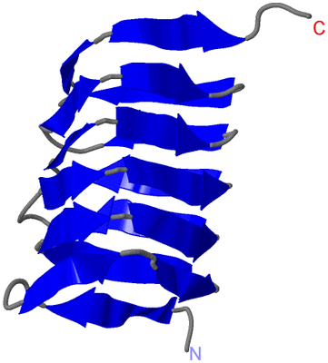 Image Asymmetric Unit