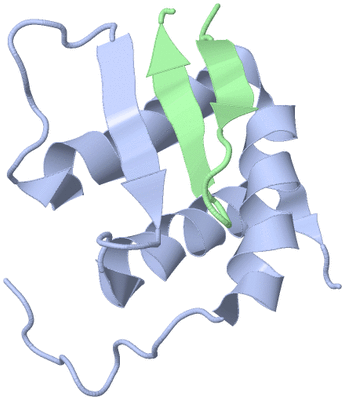 Image NMR Structure - model 1