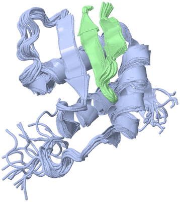 Image NMR Structure - all models