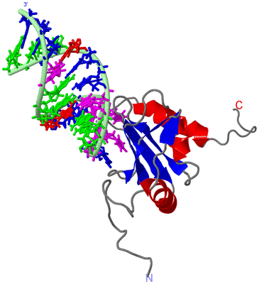 Image NMR Structure - model 1