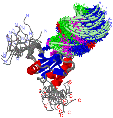 Image NMR Structure - all models